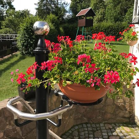 Ferienwohnung Grieser Geising Екстер'єр фото