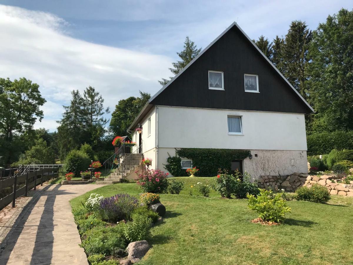 Ferienwohnung Grieser Geising Екстер'єр фото